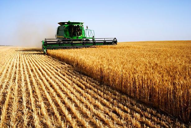 /uploads/posts/5d1a247b77db7040019180272398843f83ffe382/images/vand-teren-agricol.jpg