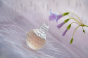 /uploads/posts/5df50dc92d9671b9c95c0141a37f0b1303cd1830/thumbnails/perfume-4148727__340.png