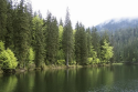 /uploads/posts/65bf961006087800193e5519add438129cad2a58/thumbnails/color-beats-lake-4898197__340.png