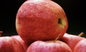 /uploads/posts/b34d5b6fad5e5c8d67adb63e5da54dc28af07fda/thumbnails/apple.png