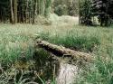 /uploads/posts/ccea1ce3e00a54961920e78fa1c2dcf0e0ca6b66/thumbnails/Mokřad.jpg