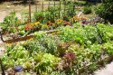 /uploads/posts/d3a37ad5ce3cf3c1280b9d3dcc2153e734553033/thumbnails/gardening.png