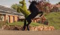 /uploads/posts/f0c3dd865b4bf9788936d276bdad6e66fdf931fa/thumbnails/574484755.jpg