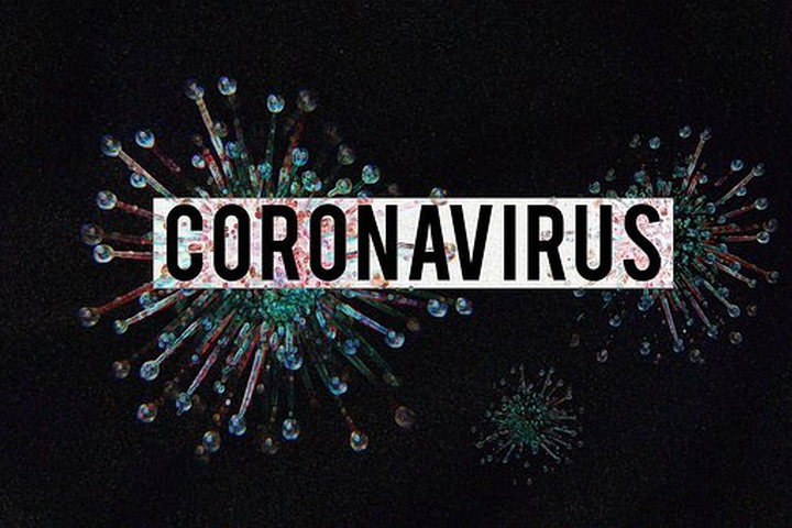 /uploads/posts/ff1680f466852879dccc196a4b14b96c57701619/images/coronavirus-4923544__340.png